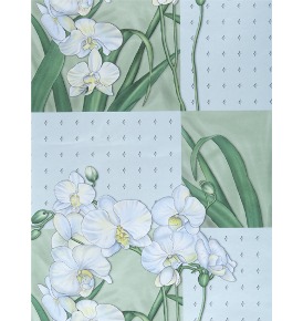 Белая орхидея-03