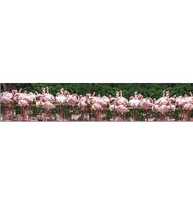 Фламинго ABS (3000*600*2,0 мм)